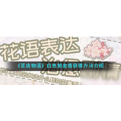 花店物语如何获取白色郁金香 - 荷兰国花的种植指南