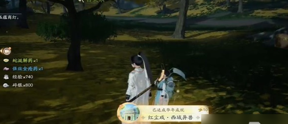 射雕