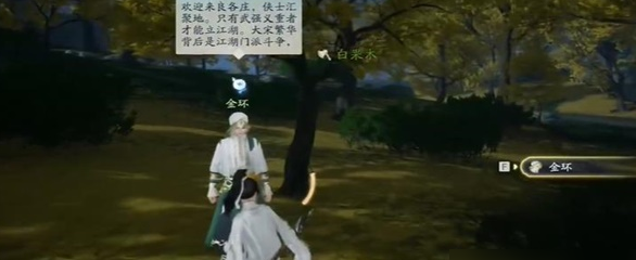 射雕