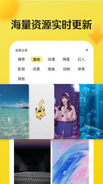 皮皮动态壁纸免费