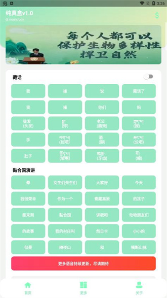 丁真盒无广告