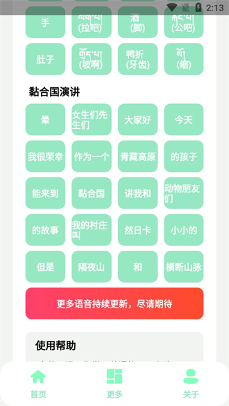 丁真盒无广告
