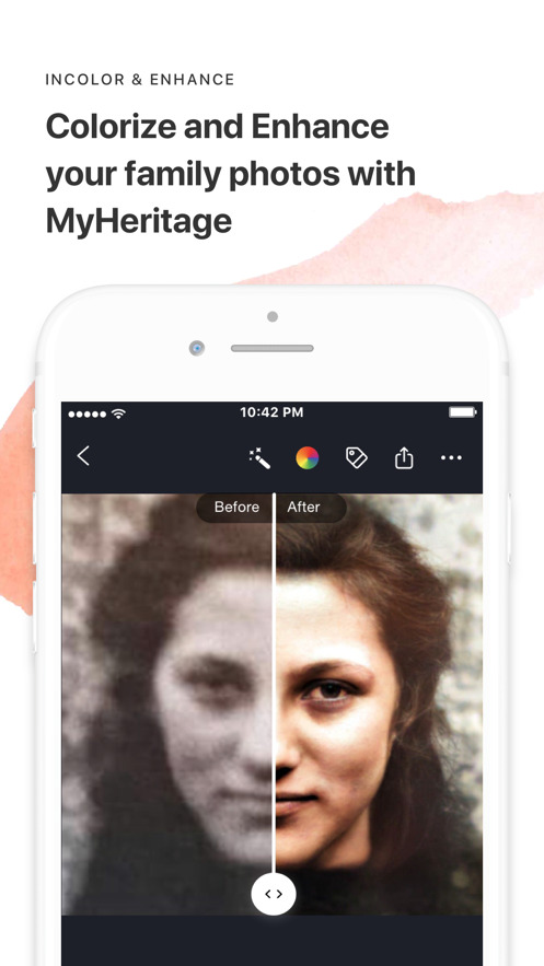 MyHeritage家谱