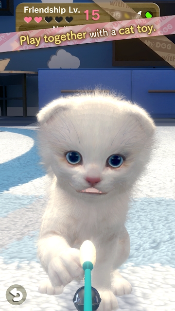与我的猫咪手机版