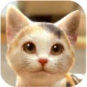 与我的猫咪手机版