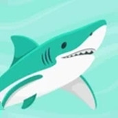 超级大白鲨游戏