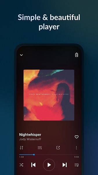Lark Player汉化版