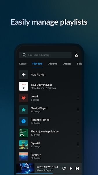 Lark Player汉化版