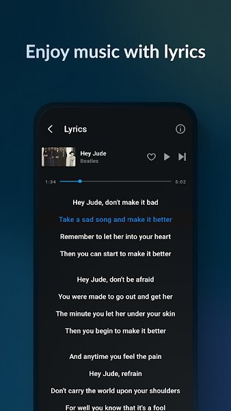 Lark Player汉化版