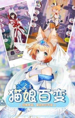 宠物女友app