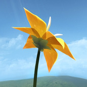 Flower花版