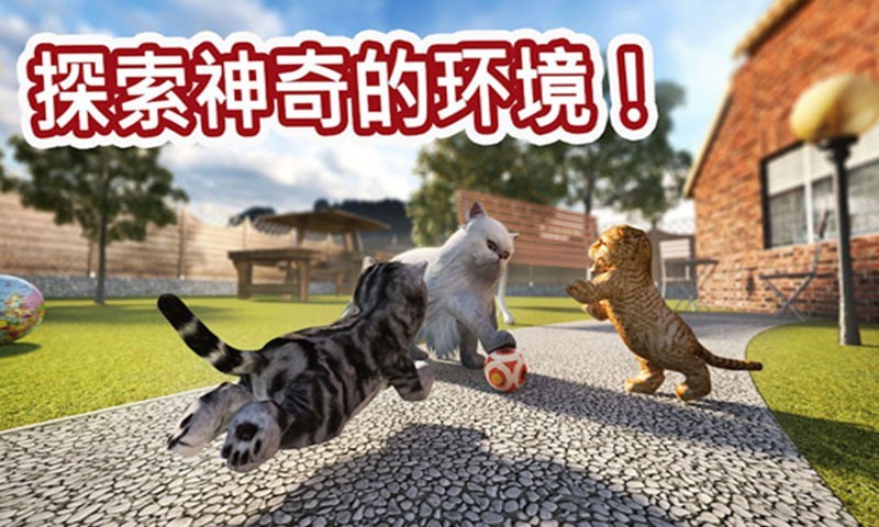 迷你小猫城市生存安卓下载