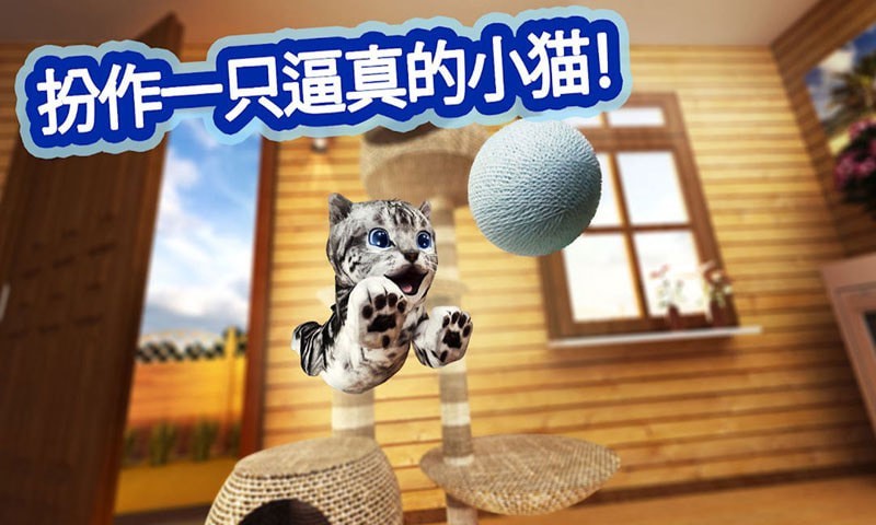 迷你小猫城市生存安卓下载