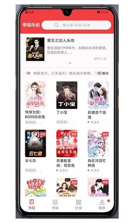 木瓜小说2024版