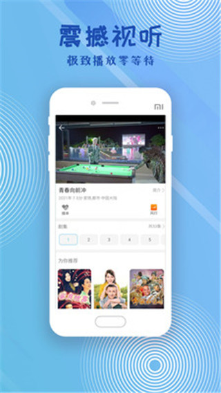 芝麻影视大全2024