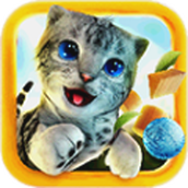猫咪破坏王