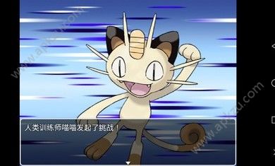 口袋人类saber