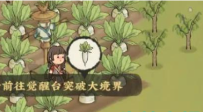 仙山小农