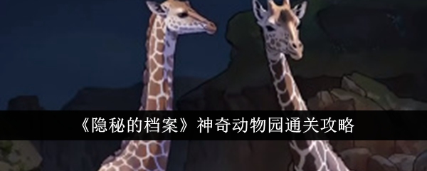 隐秘的档案