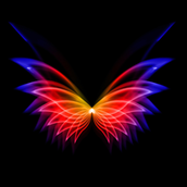 壁纸秀秀手机版