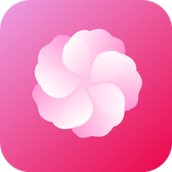 芙蓉