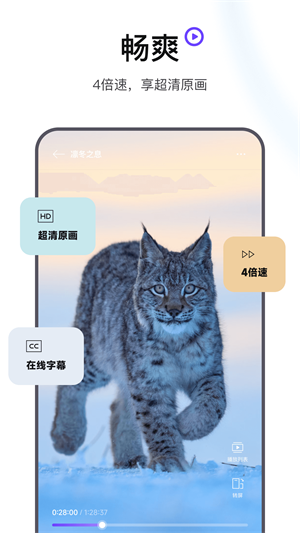 迅雷浏览器正版