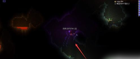 泰拉瑞亚