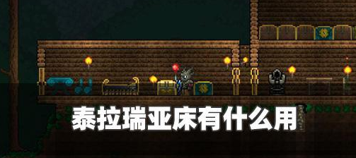 泰拉瑞亚