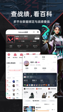 和平精英小黑盒