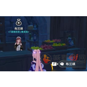 原神洋葱在哪获得