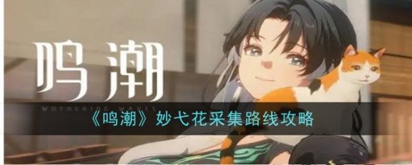 鸣潮