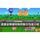 星露谷物语特殊的魅力有什么用