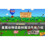 星露谷物语森林魔法揭秘与获取指南