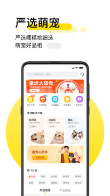 共宠