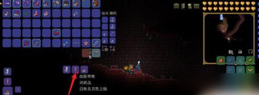 泰拉瑞亚
