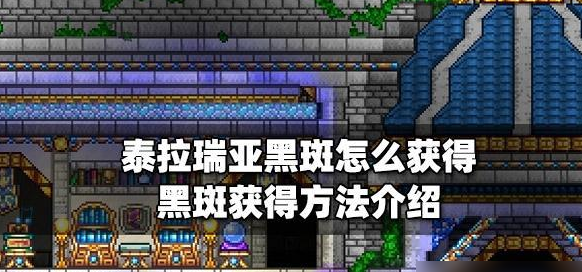 泰拉瑞亚