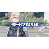 鸣潮卡卡罗声骸怎么搭配