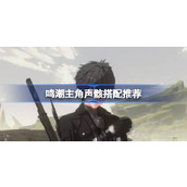 鸣潮主角声骸怎么搭配