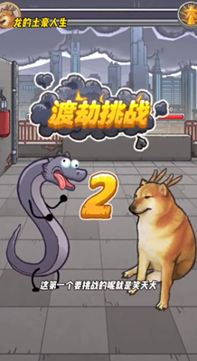 龙的土豪人生游戏安装