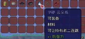 泰拉瑞亚