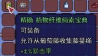 泰拉瑞亚