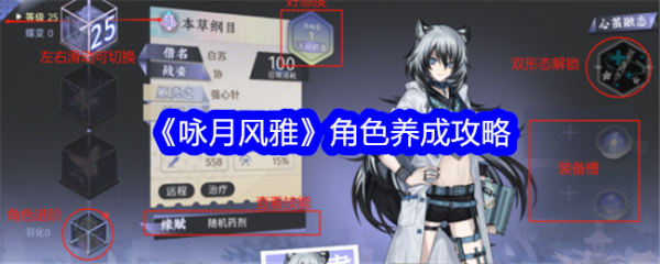 咏月风雅