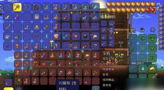 泰拉瑞亚