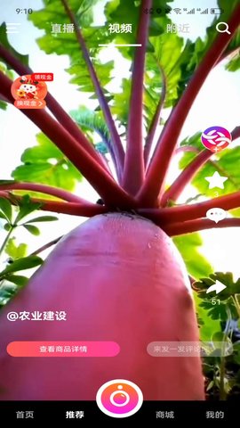 米蕉点视
