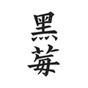 黑莓小说去升级版