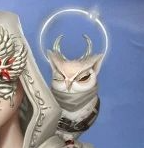 第五人格