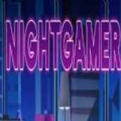 Nightgamer游戏安装