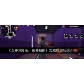 女神异闻录夜幕魅影宫殿探索怎么玩