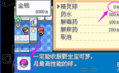 口袋妖怪叶绿