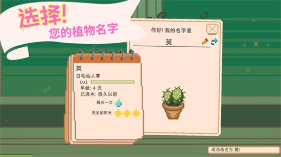 窗边花园游戏下载
